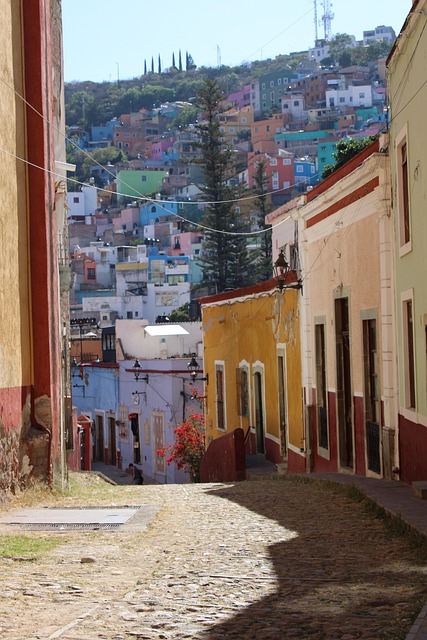 Salones De Fiestas Infantiles En Guanajuato